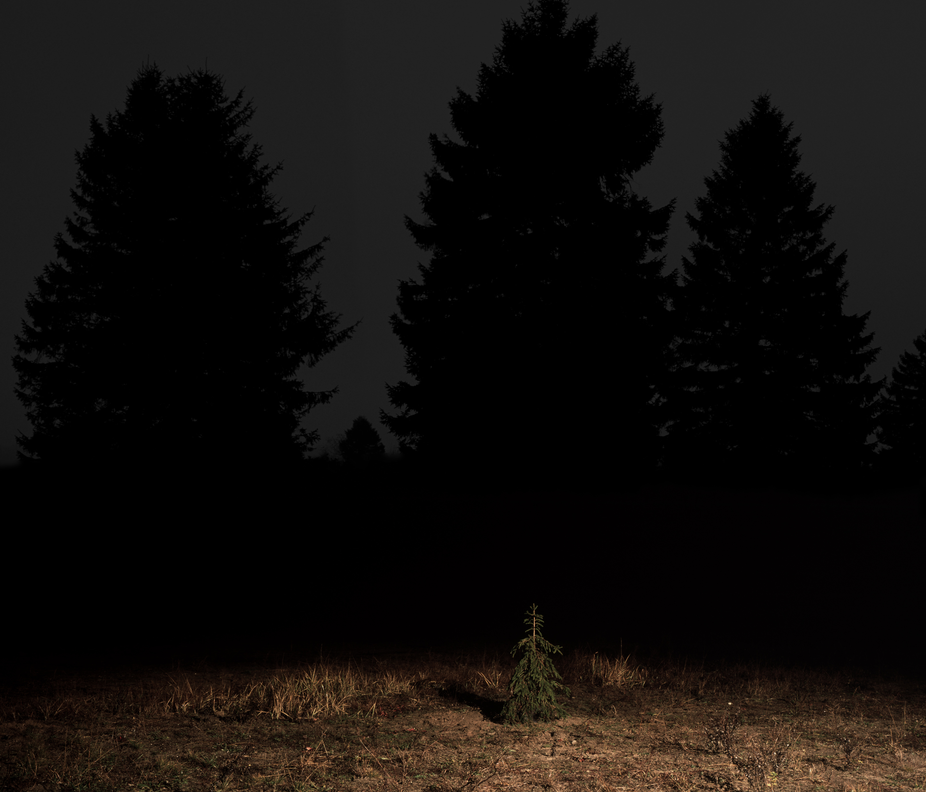 Nightscape Lightbox (Fourth)